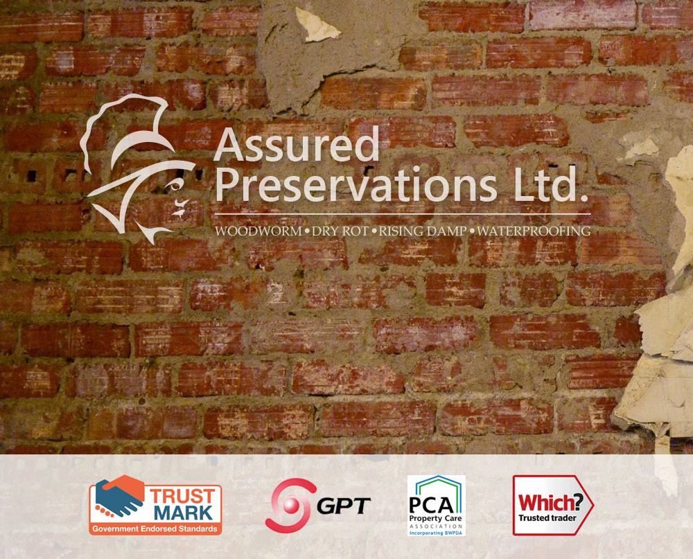 damp proofing croydon